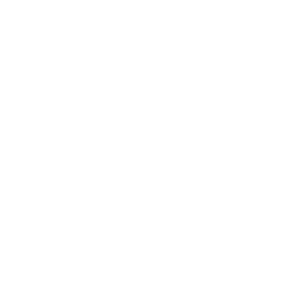 Curso em vídeo experience